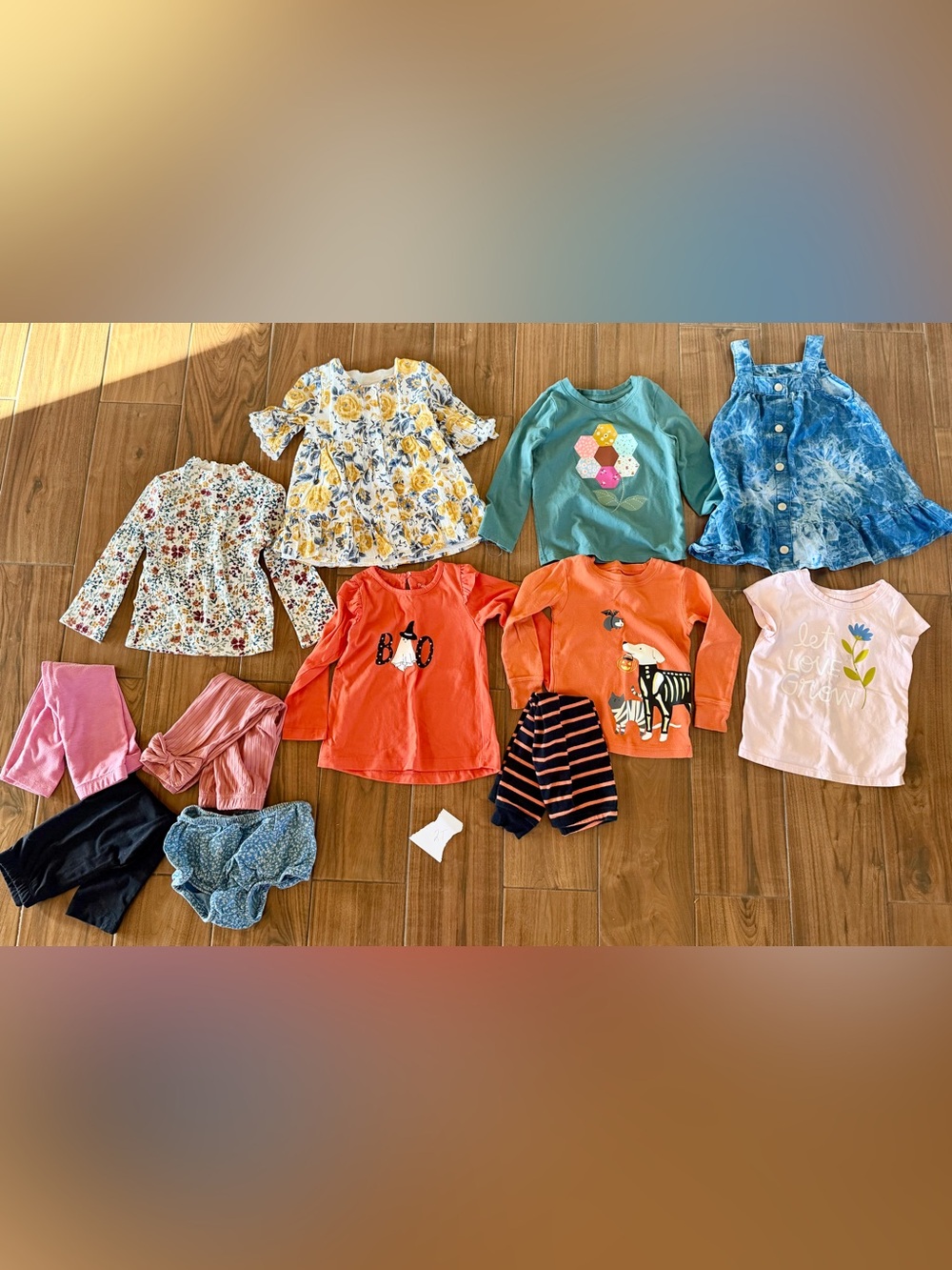 2T Girls Clothing Bundle